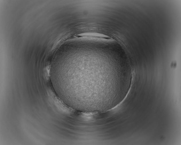 X0000111030190200906251314