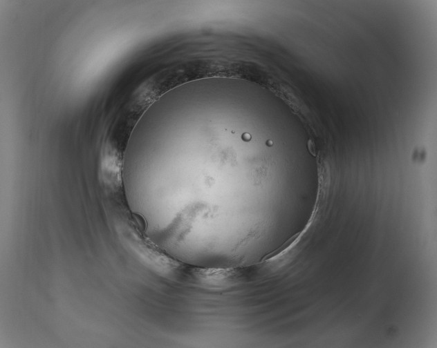 X0000111030191200906251314
