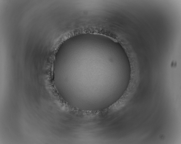X0000111030192200906251314