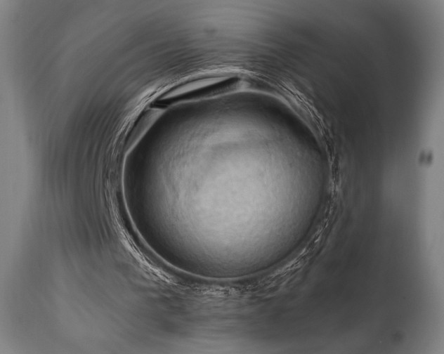 X0000111030193200906251313