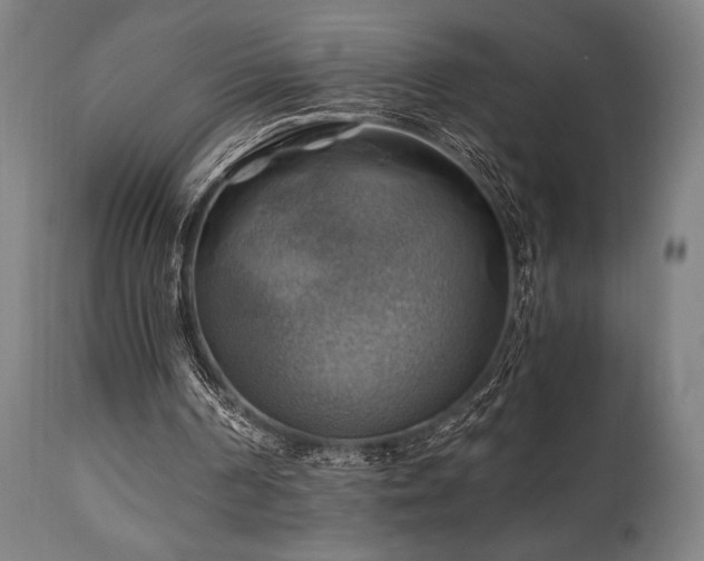 X0000111030194200906251313