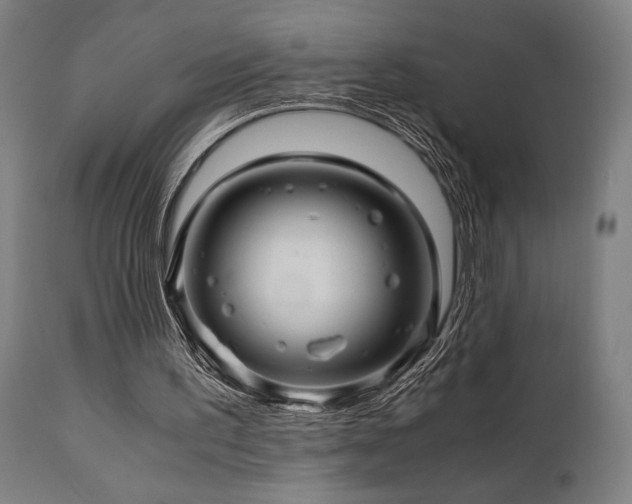 X0000111030195200906251313