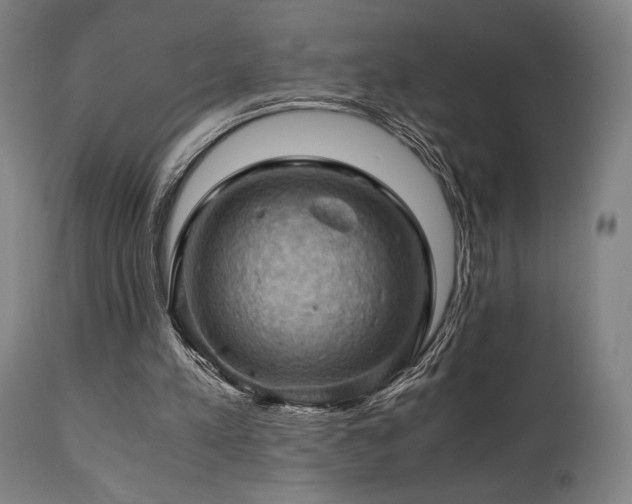 X0000111030197200906251313