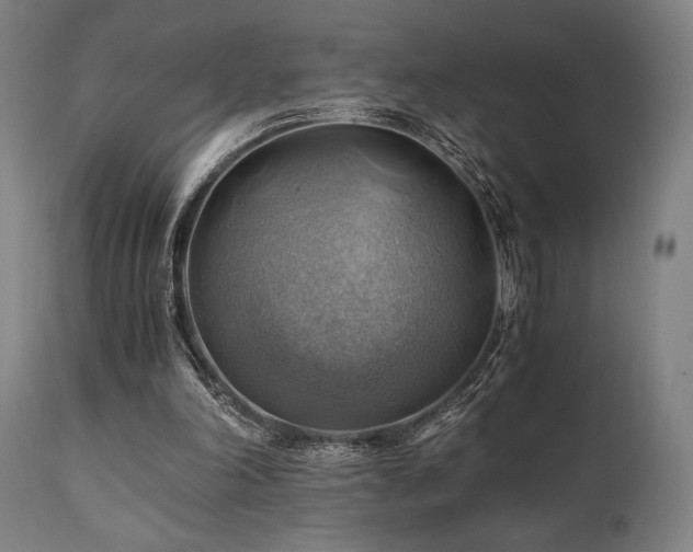 X0000111030198200906251313