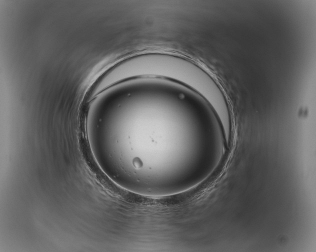 X0000111030199200906251313