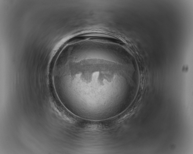 X0000111030200200906251313