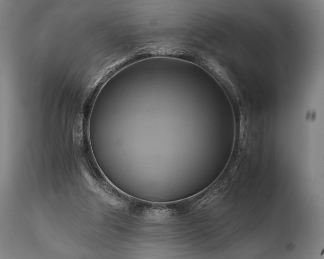 X0000111030202200906251313