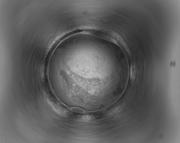 X0000111030204200906251313