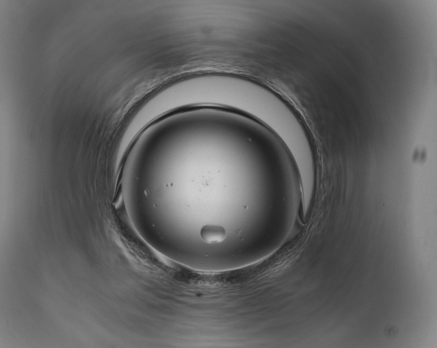 X0000111030205200906251312