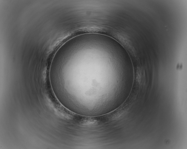 X0000111030206200906251312