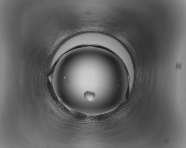 X0000111030207200906251312