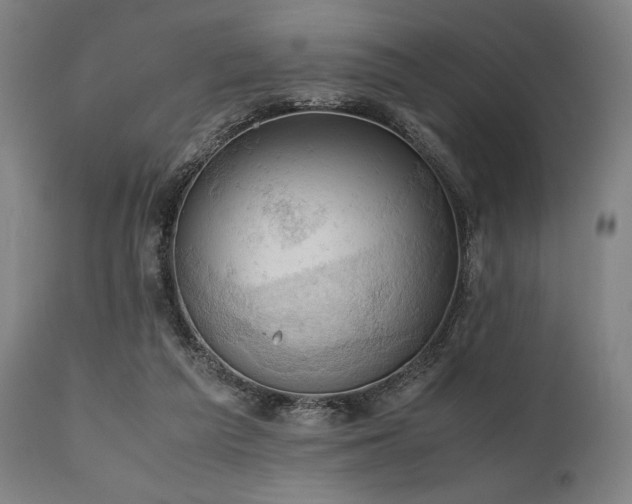 X0000111030209200906251312