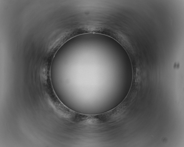 X0000111030210200906251312