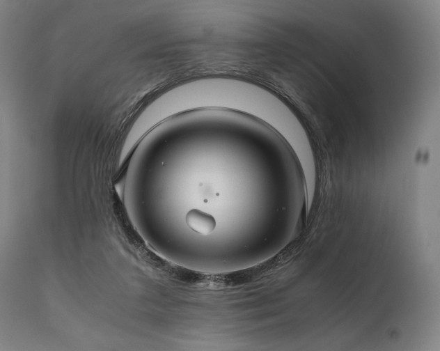 X0000111030211200906251312