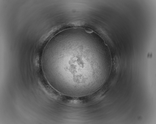 X0000111030212200906251312