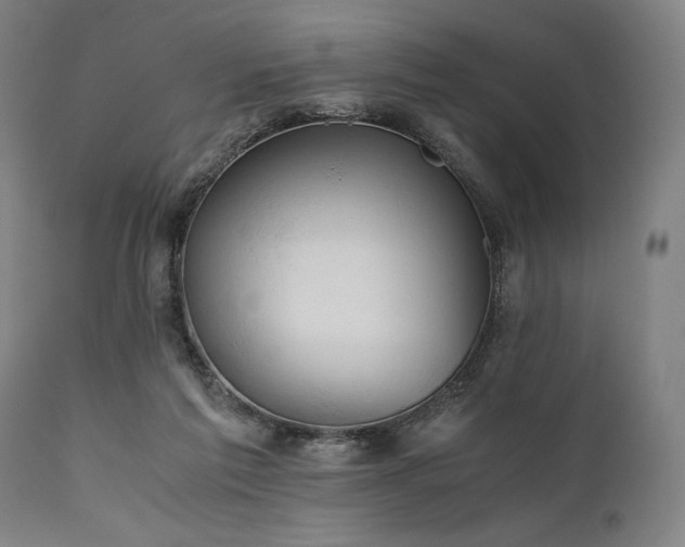 X0000111030213200906251312