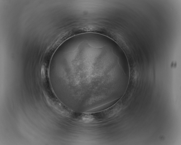 X0000111030214200906251312