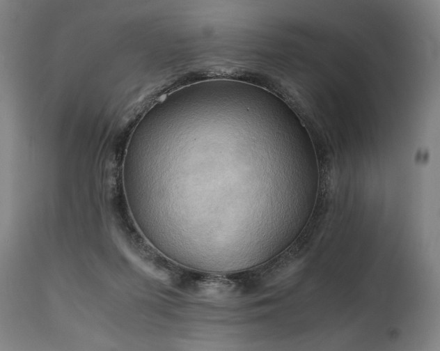 X0000111030215200906251312