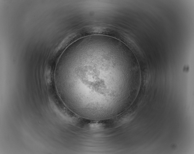 X0000111030216200906251312