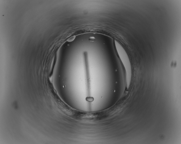 X0000111030217200906251312