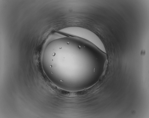 X0000111030219200906251312