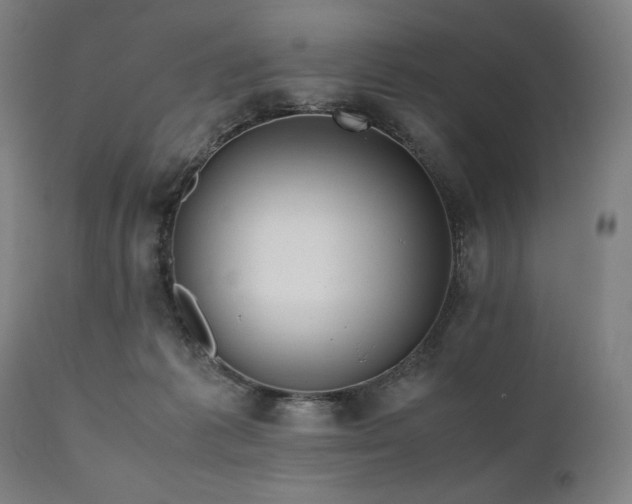 X0000111030221200906251312