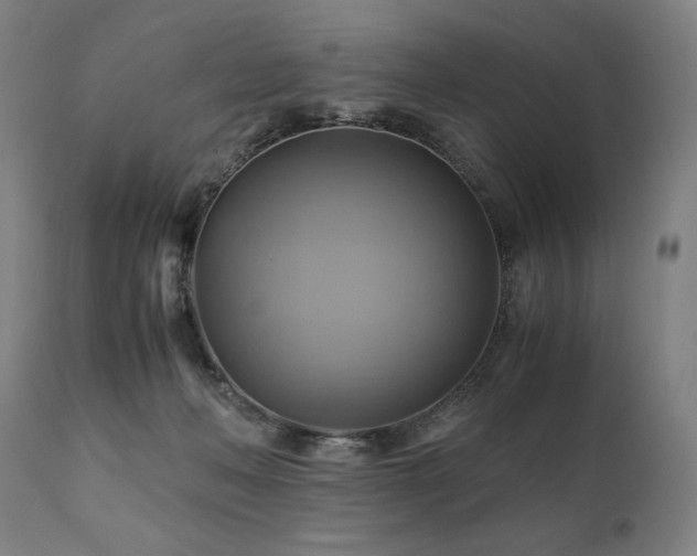 X0000111030222200906251312