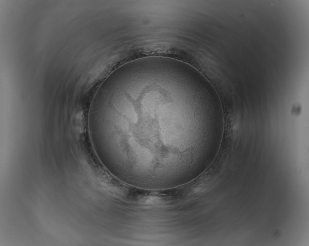 X0000111030224200906251312