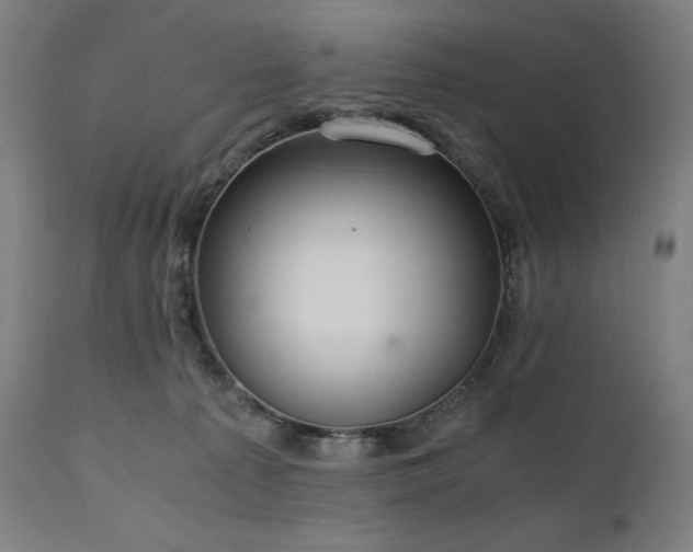 X0000111030225200906251312