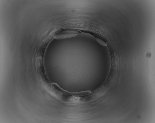 X0000111030227200906251312