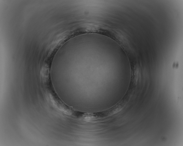 X0000111030228200906251312