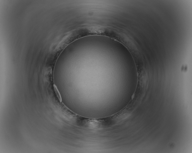 X0000111030229200906251312