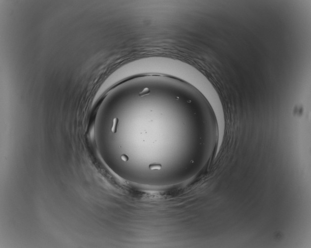X0000111030231200906251312
