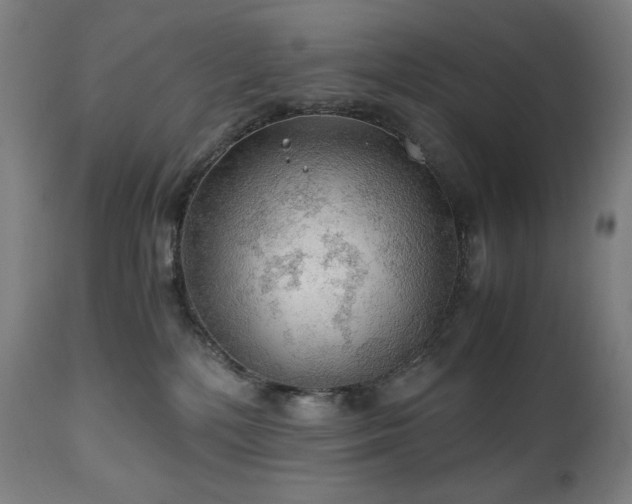X0000111030232200906251312