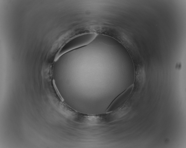 X0000111030233200906251312