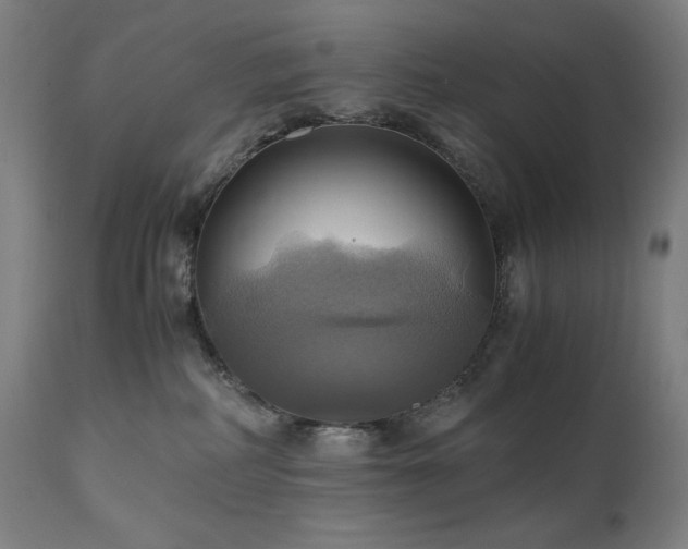 X0000111030234200906251312