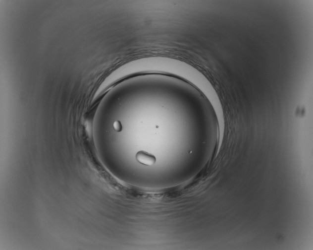 X0000111030235200906251312