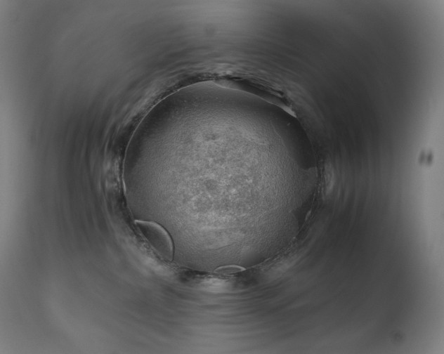 X0000111030236200906251312