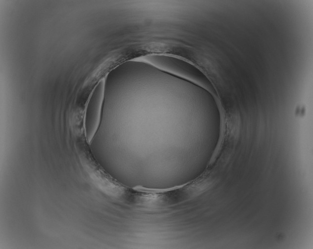 X0000111030237200906251312