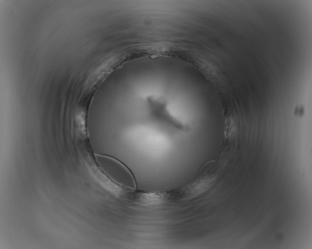 X0000111030238200906251312