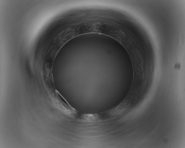 X0000111030239200906251312