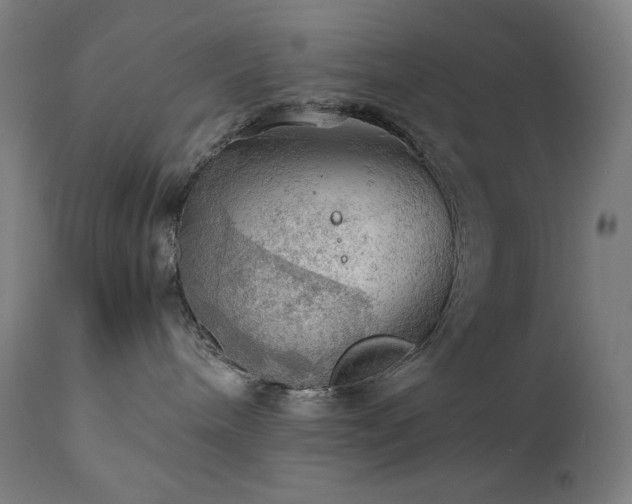 X0000111030240200906251312