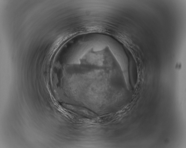 X0000111030241200906251311