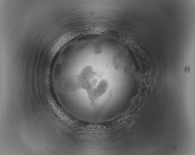 X0000111030242200906251311