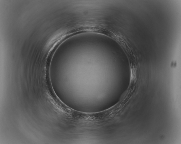 X0000111030243200906251311