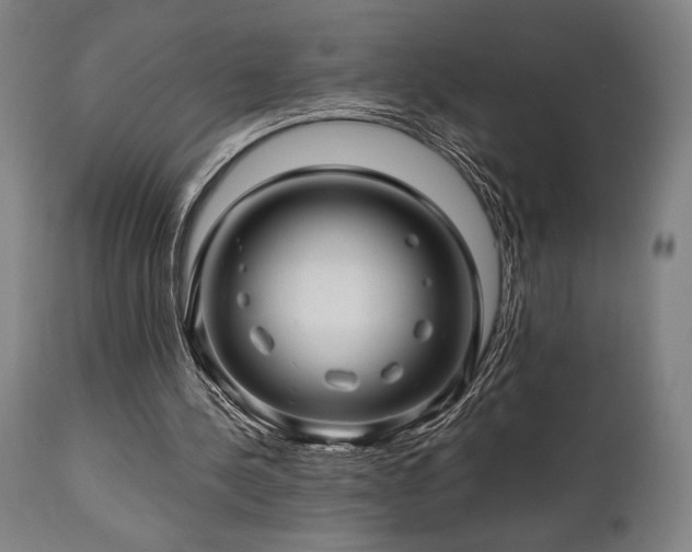 X0000111030244200906251311