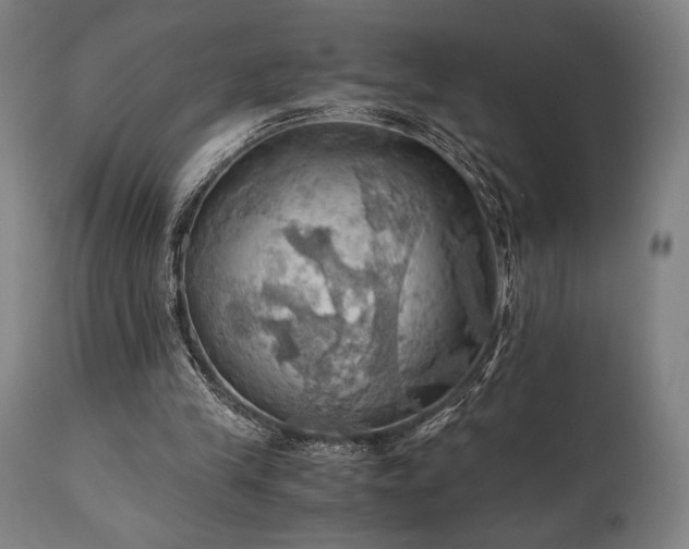 X0000111030245200906251311