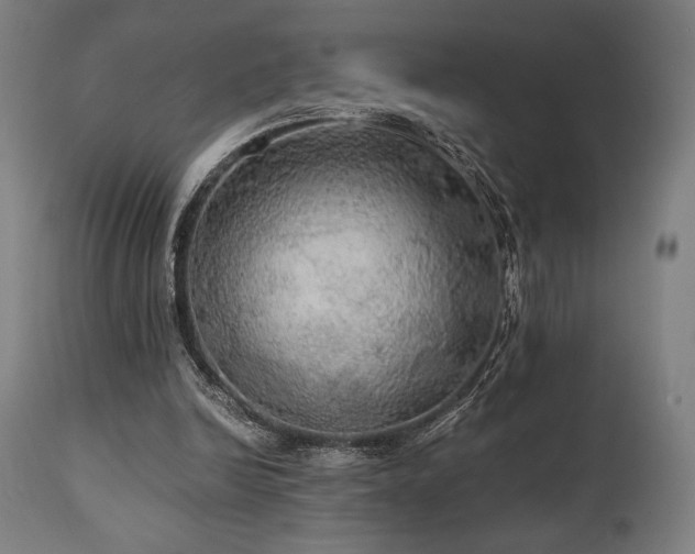X0000111030246200906251311