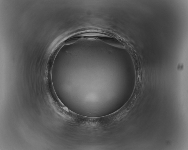 X0000111030247200906251311