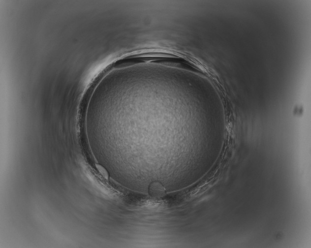 X0000111030248200906251311